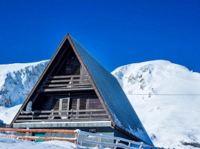 Гостиница Family House Kostic  Жабляк